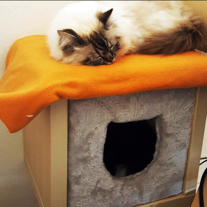 IKEA Regaleinsatz für Katzen- Höhle