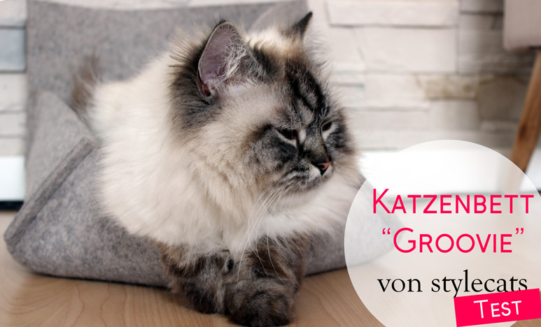 Stylecats Groovie-Katzenbett Produkttest