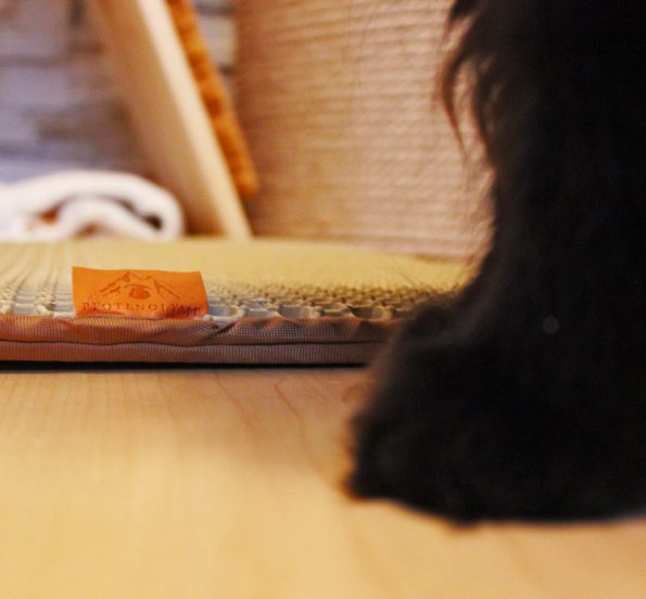 Katzenstreu-Matte von Pfotenolymp + Ultimativer Katzenstreuvergleich -  Blogkatzen