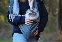 Cat to go – die Katzentragetasche