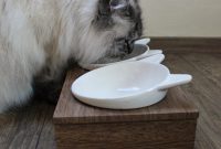 CanadianCat Futterbar für Katze