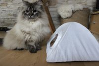 DIY Katzenzelt aus Kleiderbügeln