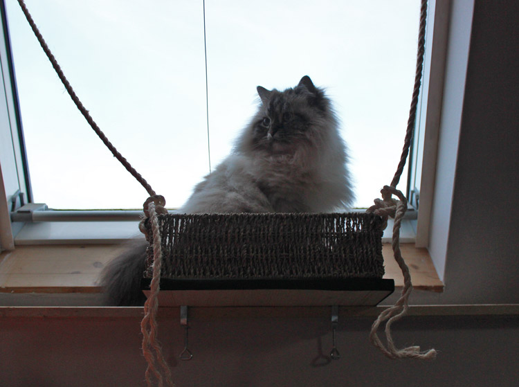 Fensterliege für Katzen- DIY